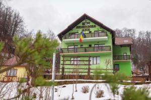 a green building with a flag in front of it at Pensiunea Ana in Cavnic