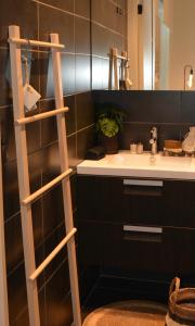 a bathroom with a ladder next to a sink at Sfeervol appartement te Blankenberge in Blankenberge