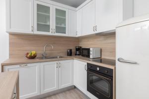 Kuchyň nebo kuchyňský kout v ubytování Apartment Second Ivana