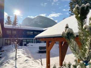 a snow covered area with a bench and some trees at The Dorothy Motel in Banff