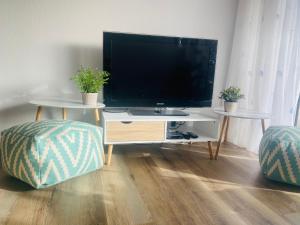 a living room with a flat screen tv and two chairs at See Apart 3 in Öhningen