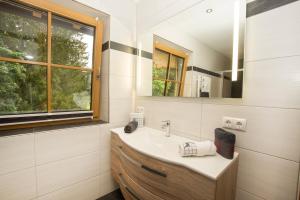 La salle de bains est pourvue d'un lavabo et d'un miroir. dans l'établissement Alpenherz, à Filzmoos