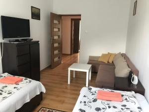 a living room with a couch and a tv at Mieszkanie Dla Turystów in Sandomierz