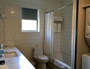 a bathroom with a toilet and a sink and a shower at Bishop Arts Hotel in Dallas