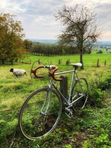 Gallery image of Villa Amoulogies in Amougies