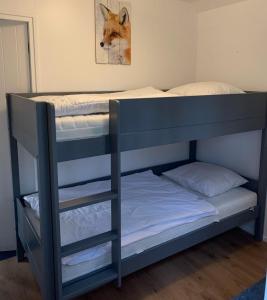 a bunk bed with a ladder towered over a bed with a fox picture at Huisje Boompje Beerze in Beerze