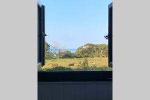 LlanddwyweにあるLle Mary - Beautiful views, Hot tub, Secluded, Dog Welcome, Barmouthの馬の畑を望む窓