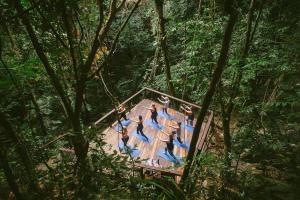 Zahrada ubytování Daintree Ecolodge