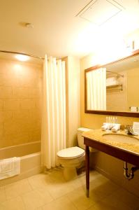 a bathroom with a toilet and a sink and a mirror at Rockville Centre Hotel - JFK Airport in Lynbrook