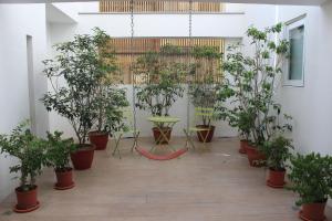 Cette chambre est dotée d'arbres en pot, d'une table et de chaises. dans l'établissement Sunnyside Hotel, à Kaohsiung