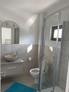 La salle de bains est pourvue de toilettes et d'une douche en verre. dans l'établissement La Foresteria, à Galşa