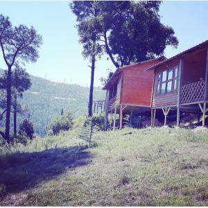 Gallery image of Golden valley cottages, Chail in Chail