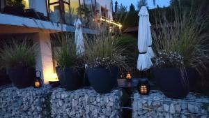 Zahrada ubytování K82 BNB & Hotel