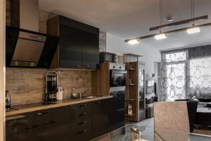 a kitchen with black cabinets and a counter top at Hahnenklee Ferienpark 409 & 211 in Goslar
