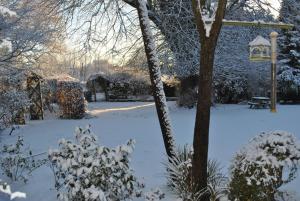 a garden covered in snow with a tree and a lantern at Elmfield in Northlew