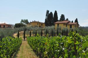 una vista de un viñedo con casas en el fondo en La Locanda Cuccuini en Cavriglia