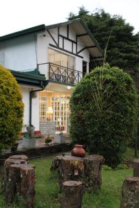Zahrada ubytování Blossomwell Bungalow