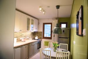 Kuchyň nebo kuchyňský kout v ubytování Riverside apartment + 12 fotografií