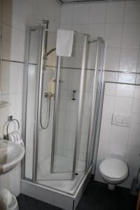 uma casa de banho com um chuveiro, um WC e um lavatório. em Pension Eissler em Bruchsal