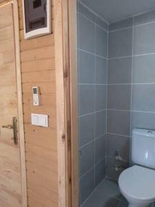 a bathroom with a toilet and a walk in shower at KARABİBİK BUNGALOW in Demre