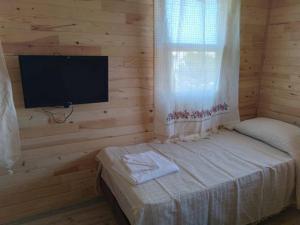 a bedroom with a television and a bed with a window at KARABİBİK BUNGALOW in Demre