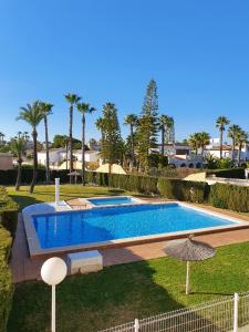 una piscina en un patio con sombrilla en - - - - - FRONT LINE - - - - - Primera Línea - - - - - Apartments in Playa Flamenca en Playa Flamenca