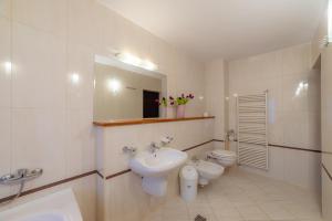 a bathroom with a sink and a toilet and a mirror at Pension Cluj in Cluj-Napoca