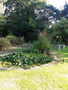 um jardim com um monte de plantas na relva em Sheephouse Manor em Maidenhead