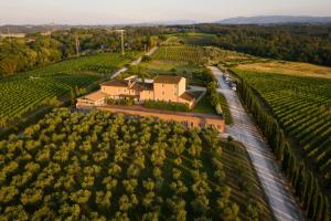 une vue aérienne sur une maison au milieu d'un vignoble dans l'établissement Resort Casale Le Torri, à Ponsacco