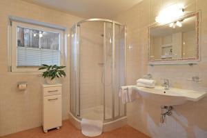 een badkamer met een douche en een wastafel bij Appartement Christine in Brixen im Thale