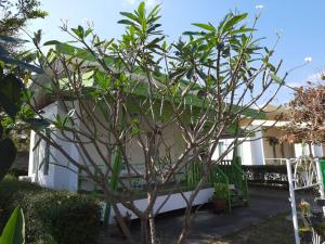 Amphoe Sawang Daen Din的住宿－The luxury，房子前面的小树