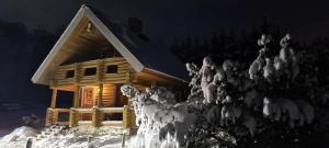 Partsilombi Holiday Home v zimě