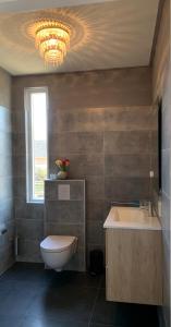 a bathroom with a toilet and a sink and a chandelier at Bed and Breakfast De Paalberg in Hoenderloo +16 photos