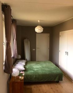 a bedroom with a green bed and a ceiling at Bed and Breakfast De Paalberg in Hoenderloo