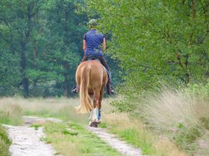 a woman riding a horse down a dirt road at Bed and Breakfast De Paalberg in Hoenderloo