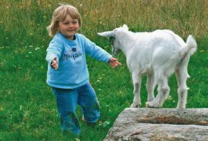 uma criança a correr ao lado de uma cabra numa rocha em Ferienhaeuser Abild em Tarp