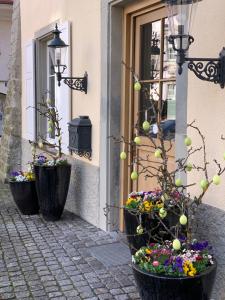 dos grandes macetas de flores frente a un edificio en Alte Post, en Lindau