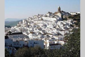 un pueblo blanco en la cima de una colina en Beautiful Duplex with a Patio en Alcalá de los Gazules