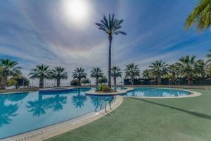 a swimming pool with a palm tree in the background at Apartament PALMERA 100m od morza in Orihuela
