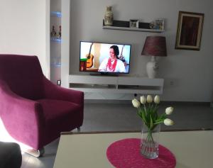 Televízia a/alebo spoločenská miestnosť v ubytovaní Sweet Apartment Tony