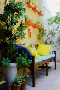 a bench sitting in a room with plants at Pousada Casa da Adriana in Fortaleza