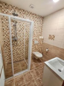 uma casa de banho com um chuveiro, um WC e um lavatório. em Penzion Svatý Jan em Turnov