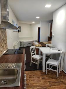 uma cozinha e sala de estar com um lavatório e uma mesa em Penzion Svatý Jan em Turnov