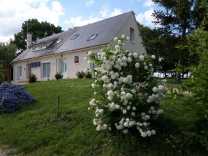 biały kwitnący krzak przed domem w obiekcie Bienvenue à L'Andruère w mieście Cheillé