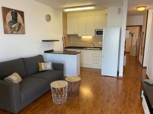 ein Wohnzimmer mit einem Sofa und einer Küche in der Unterkunft Apartamentos Grifovacances Nevada in Pas de la Casa
