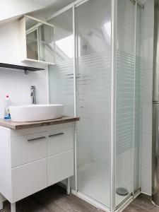 La salle de bains blanche est pourvue d'un lavabo et d'une douche. dans l'établissement FMI Apartment LST Next to Airport, à Rüsselsheim