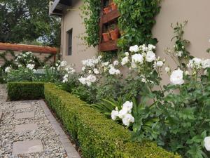 um jardim com flores brancas ao lado de um edifício em Bella Rosa em Potchefstroom