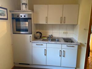 a kitchen with a white refrigerator and a sink at Ferienhaus Silvaner in Naumburg +17 photos