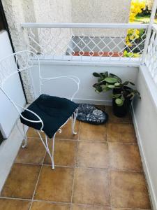 a chair on a balcony with a plant at Carolina’S Nest in Casal Palocco