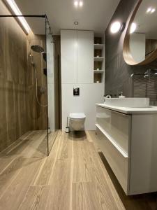 a bathroom with a shower and a sink and a toilet at Apartament MK - Na Szczyt in Szczyrk